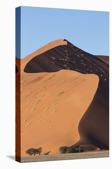 An s-curve on a tall orange-sand dune in Sossusvlei within Namib-Naukluft National Park, Namibia.-Brenda Tharp-Premier Image Canvas