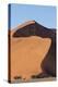 An s-curve on a tall orange-sand dune in Sossusvlei within Namib-Naukluft National Park, Namibia.-Brenda Tharp-Premier Image Canvas