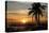 Ana Maria Sunset-Mike Jones-Stretched Canvas