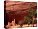 Anasazi Antelope House Ruin and Cottonwood Trees, Canyon de Chelly National Monument, Arizona, USA-Alison Jones-Premier Image Canvas