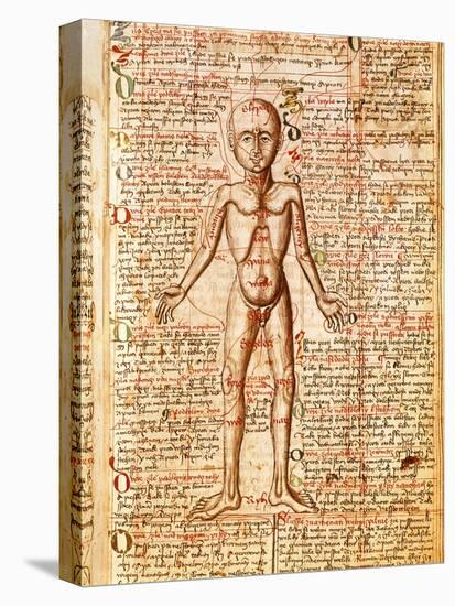 Anatomical Chart of Human Body, Tractatabus de Pestilentia, 15th century Manuscript by M. Albik-null-Premier Image Canvas