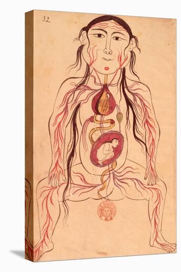 Anatomical Diagram of a Woman and Her Foetus-Mansour B. Eliyas Chirazi-Premier Image Canvas