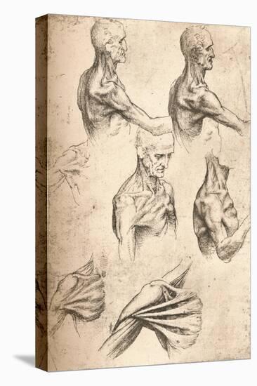 Anatomical Drawing, C1472-C1519 (1883)-Leonardo da Vinci-Premier Image Canvas