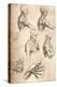 Anatomical Drawing, C1472-C1519 (1883)-Leonardo da Vinci-Premier Image Canvas
