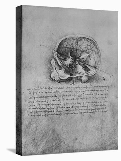 'Anatomical Drawing of a Skull to the Left', c1480 (1945)-Leonardo Da Vinci-Premier Image Canvas