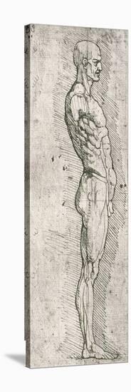 Anatomical Study-Leonardo da Vinci-Premier Image Canvas