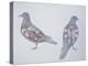 Anatomy of Two Pigeons-null-Premier Image Canvas