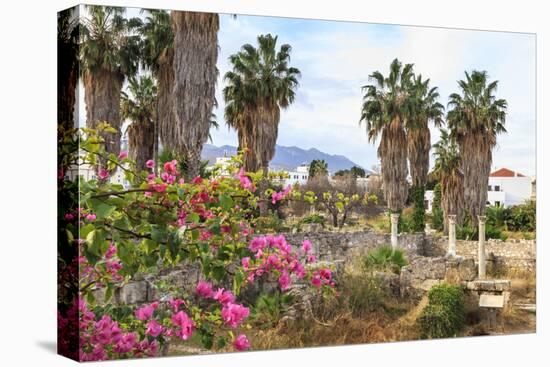Ancient Agora, Bougainvillea and palm trees, Greek, Roman and Byzantine ruins, Kos Town, Kos, Dodec-Eleanor Scriven-Premier Image Canvas