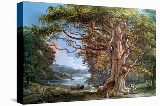Ancient Beech Tree, 1794-Paul Sandby-Premier Image Canvas