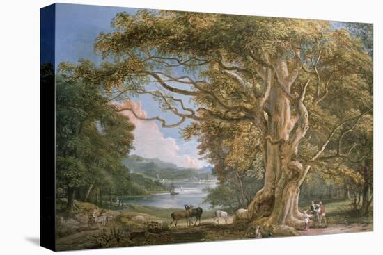 Ancient Beech Tree-Paul Sandby-Premier Image Canvas