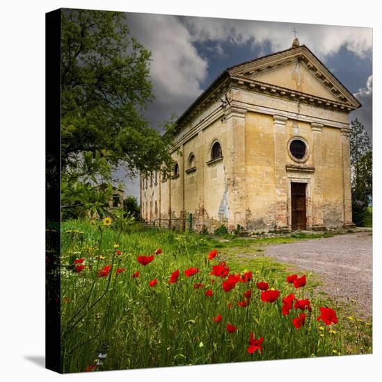 Ancient church ruin surrounded by bright reed poppies. Montalcino. Tuscany, Italy.-Tom Norring-Premier Image Canvas