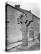 Ancient Cross, Kells, County Meath, 1870S-Robert French-Premier Image Canvas