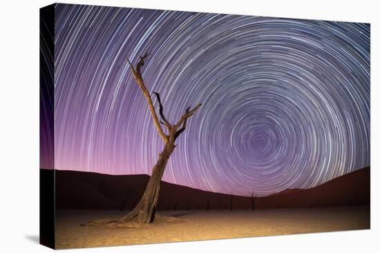 Ancient Dead Camelthorn Trees (Vachellia Erioloba) with Red Dunes-Wim van den Heever-Premier Image Canvas