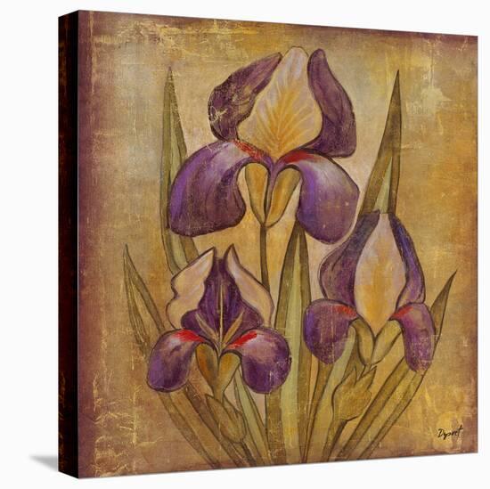 Ancient Floral I-Dysart-Stretched Canvas