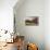 Ancient Neapolitan Horse Trap-Filippo Palizzi-Premier Image Canvas displayed on a wall