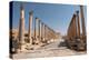 Ancient Roman road with colonnade, Jerash, Jordan, Middle East-Francesco Fanti-Premier Image Canvas