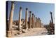 Ancient Roman stone road with a colonnade, Jerash, Jordan, Middle East-Francesco Fanti-Premier Image Canvas