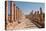 Ancient Roman stone road with a colonnade, Jerash, Jordan, Middle East-Francesco Fanti-Premier Image Canvas