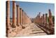 Ancient Roman stone road with a colonnade, Jerash, Jordan, Middle East-Francesco Fanti-Premier Image Canvas