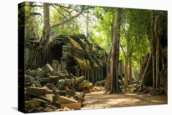 Ancient ruins of Ta Prohm, Angkor Nat'l Park, UNESCO World Heritage, Siem Reap, Cambodia-Logan Brown-Premier Image Canvas