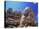 Ancient Stone Sculpture, Nemrut Dag, Turkey-Adam Woolfitt-Premier Image Canvas