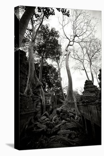 Ancient Ta Prohm I-Erin Berzel-Premier Image Canvas