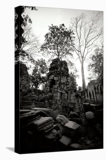 Ancient Ta Prohm I-Erin Berzel-Premier Image Canvas