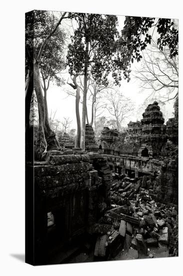 Ancient Ta Prohm IV-Erin Berzel-Premier Image Canvas