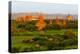 Ancient temple and pagoda rising out of the jungle at sunrise, Bagan, Mandalay Region, Myanmar-Keren Su-Premier Image Canvas