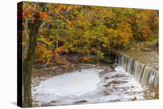 Anderson Falls on Fall Fork of Clifty Creek in Autumn, Indiana-Chuck Haney-Premier Image Canvas