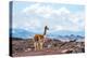 Andes of Central Ecuador-xura-Premier Image Canvas
