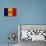 Andorra Flag Design with Wood Patterning - Flags of the World Series-Philippe Hugonnard-Stretched Canvas displayed on a wall