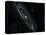 Andromeda Galaxy-Stocktrek Images-Premier Image Canvas