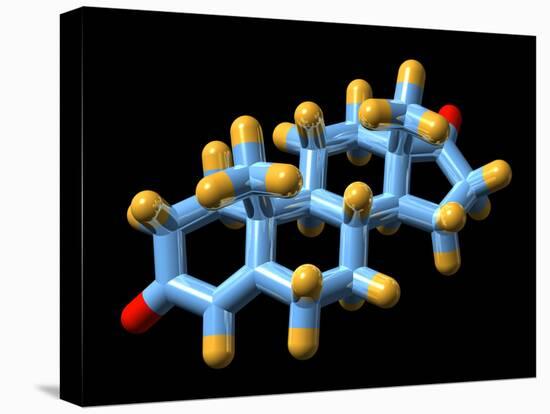 Androstenedione Hormone, Molecular Model-Dr. Mark J.-Premier Image Canvas
