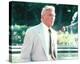 Andy Griffith - Matlock-null-Stretched Canvas