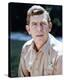 Andy Griffith - The Andy Griffith Show-null-Stretched Canvas