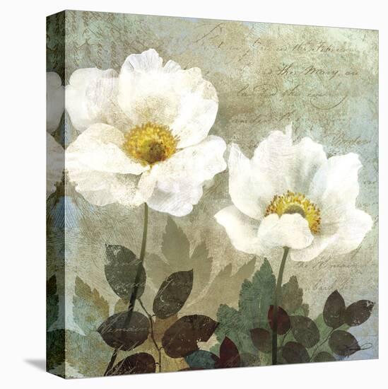 Anemone II-Keith Mallett-Stretched Canvas