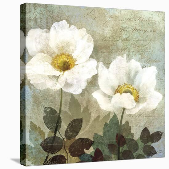 Anemone II-Keith Mallett-Stretched Canvas