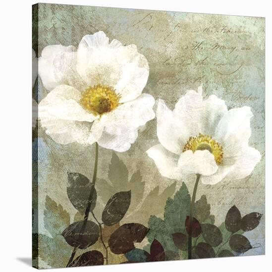 Anemone II-Keith Mallett-Stretched Canvas