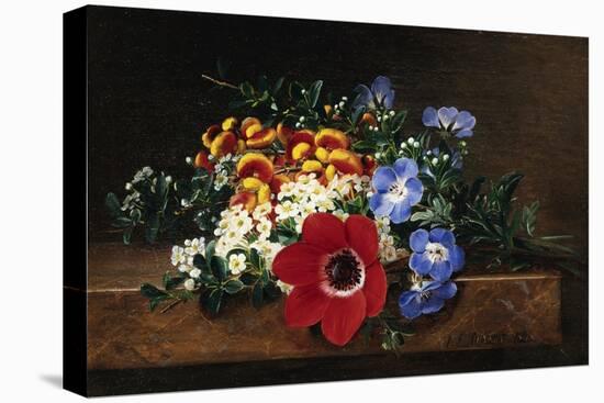 Anemone, White Spirea, Calceolaria and Blue Geranium-Johan Laurentz Jensen-Premier Image Canvas