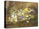 Anemones and Primroses in a Basket-Anthonore Christensen-Premier Image Canvas