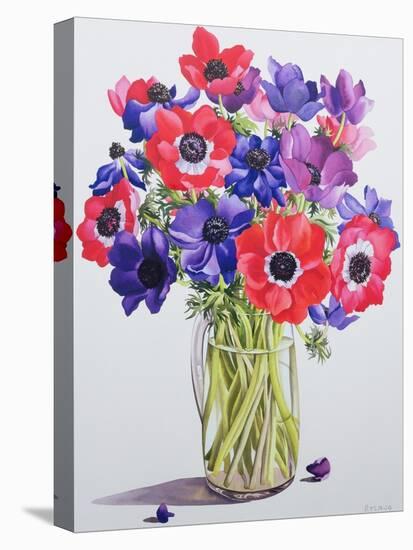 Anemones in a Glass Jug, 2007-Christopher Ryland-Premier Image Canvas