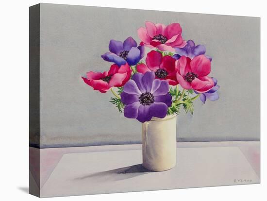 Anemones-Christopher Ryland-Premier Image Canvas