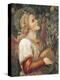 Angel Musician-Melozzo Da Forli-Premier Image Canvas