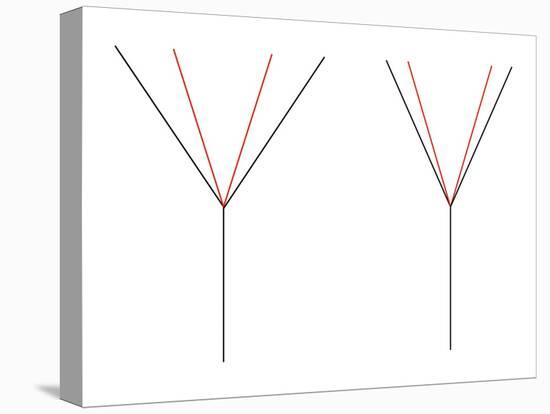 Angle Illusion-Science Photo Library-Premier Image Canvas
