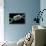 Angler's Swivel, SEM-Steve Gschmeissner-Premier Image Canvas displayed on a wall