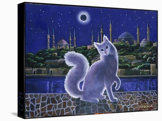 Angora Cat, Istanbul-Isy Ochoa-Premier Image Canvas