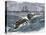 Angry Whale Chasing a Harpoon Boat-null-Premier Image Canvas