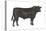 Angus Bull, Beef Cattle, Mammals-Encyclopaedia Britannica-Stretched Canvas