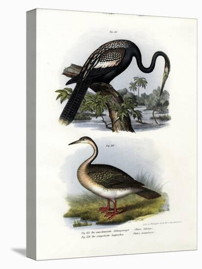 Anhinga, 1864-null-Premier Image Canvas